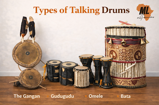 Types of Talking Drums: Which Is Best? Where to Buy (2026)