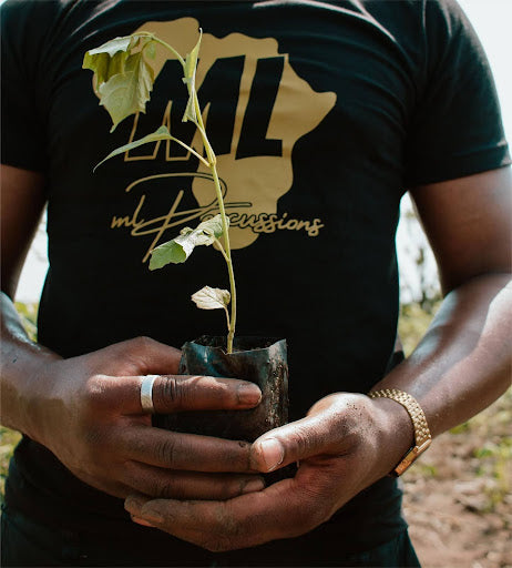 Why 1,000 Trees? ML Percussions is Planting a Sustainable Future, One Drum at a Time