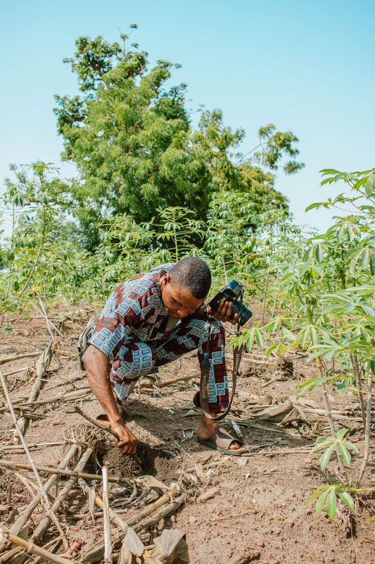 The Rhythms Of Reforestation: How Your MLPercussions Drum Plants a Tree